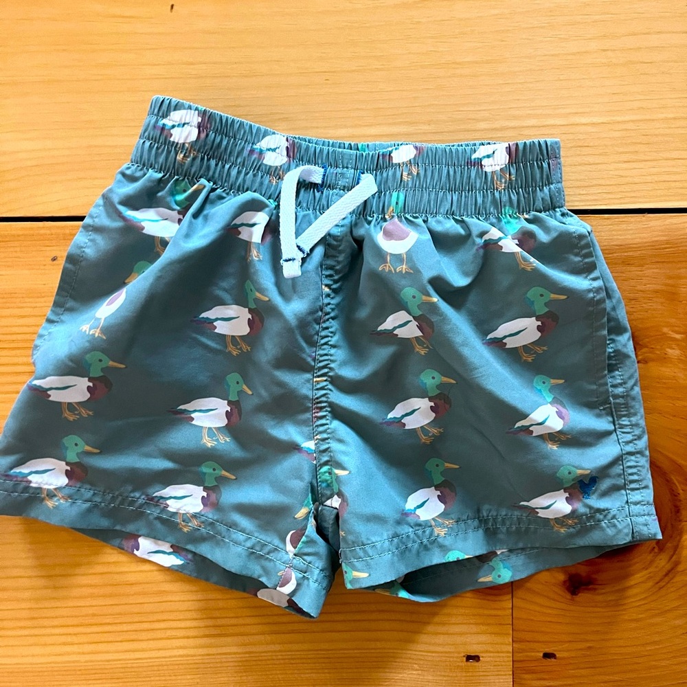 Pink Chicken Boys Swim Trunk - Green Mallard Friends 2Y
